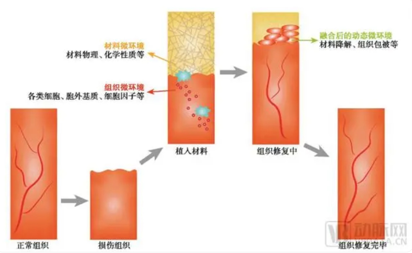 QQ截图20240528112450.jpg